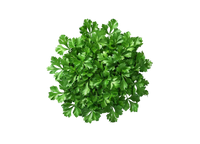 Organic Parsley Leaf – 200mg
